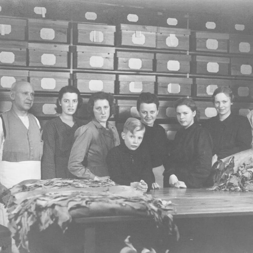 VEJRUM: STABILIZATION