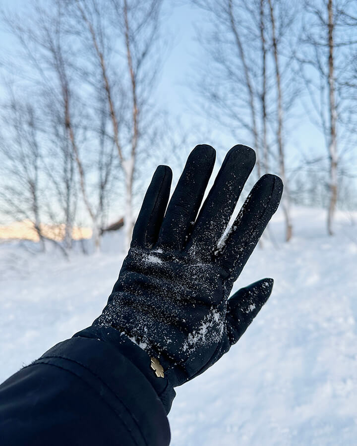 Arietta damehandsken er fremstillet af det mest udsøgte gederuskind i navy blue og er prydet med en 14 karat forgyldt Kalmus blomst.