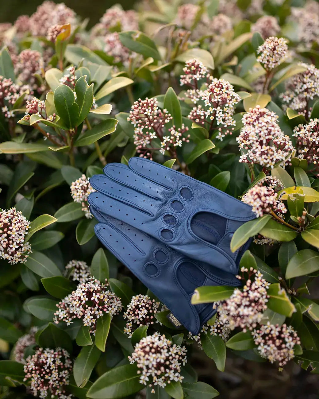 Meet our popular driving gloves, Diana from RHANDERS, in the beautiful colour denim.