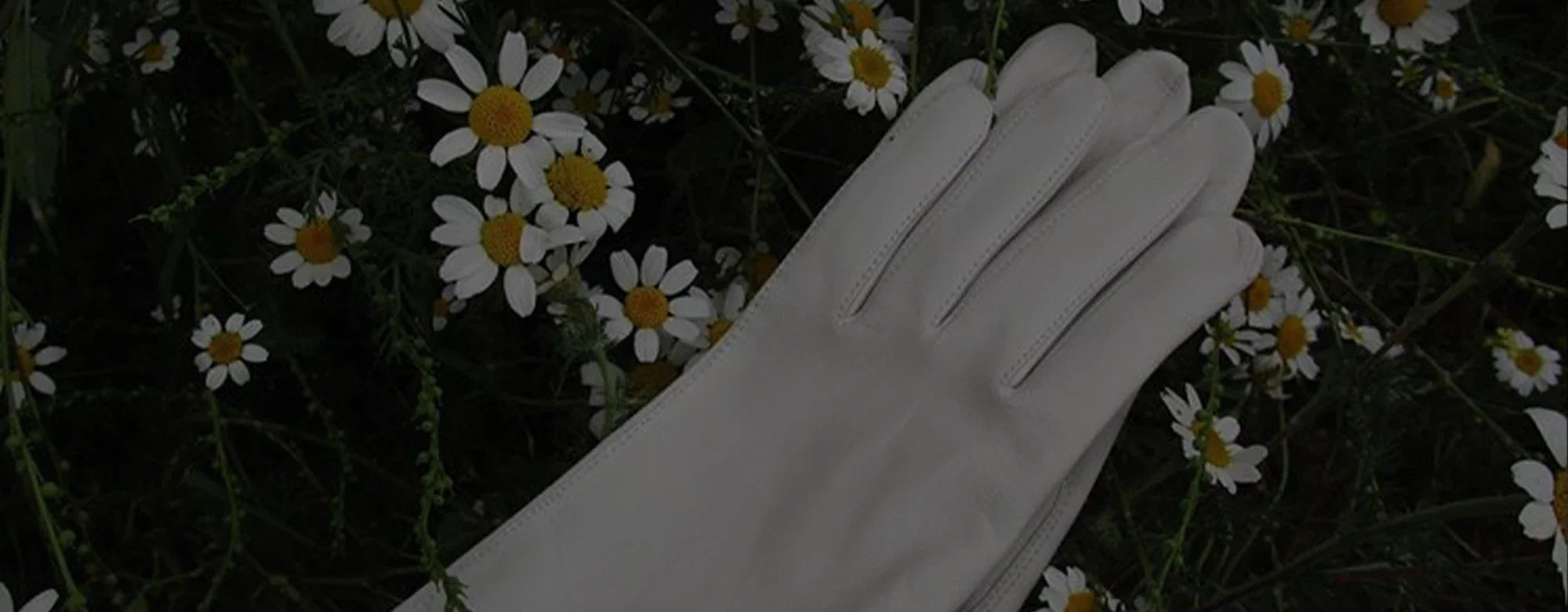 CEREMONIAL GLOVES FOR WOMEN B2B