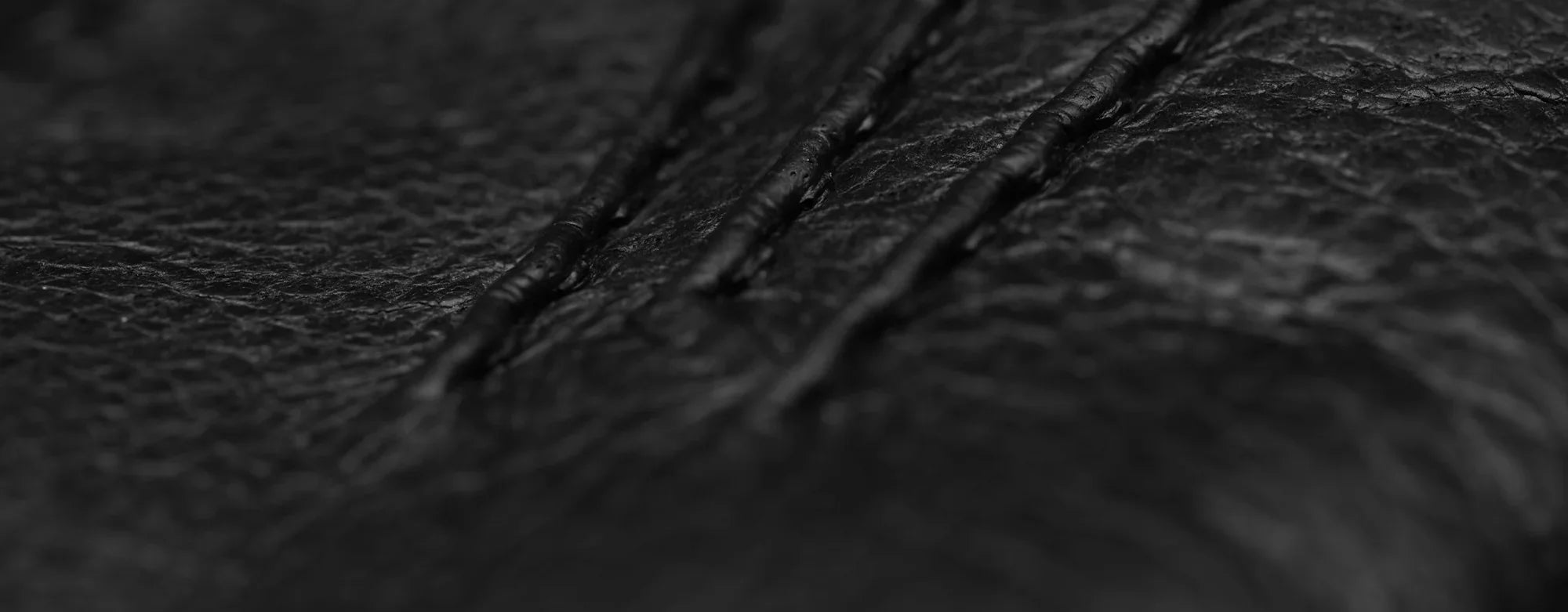 THE PECCARY COLLECTION