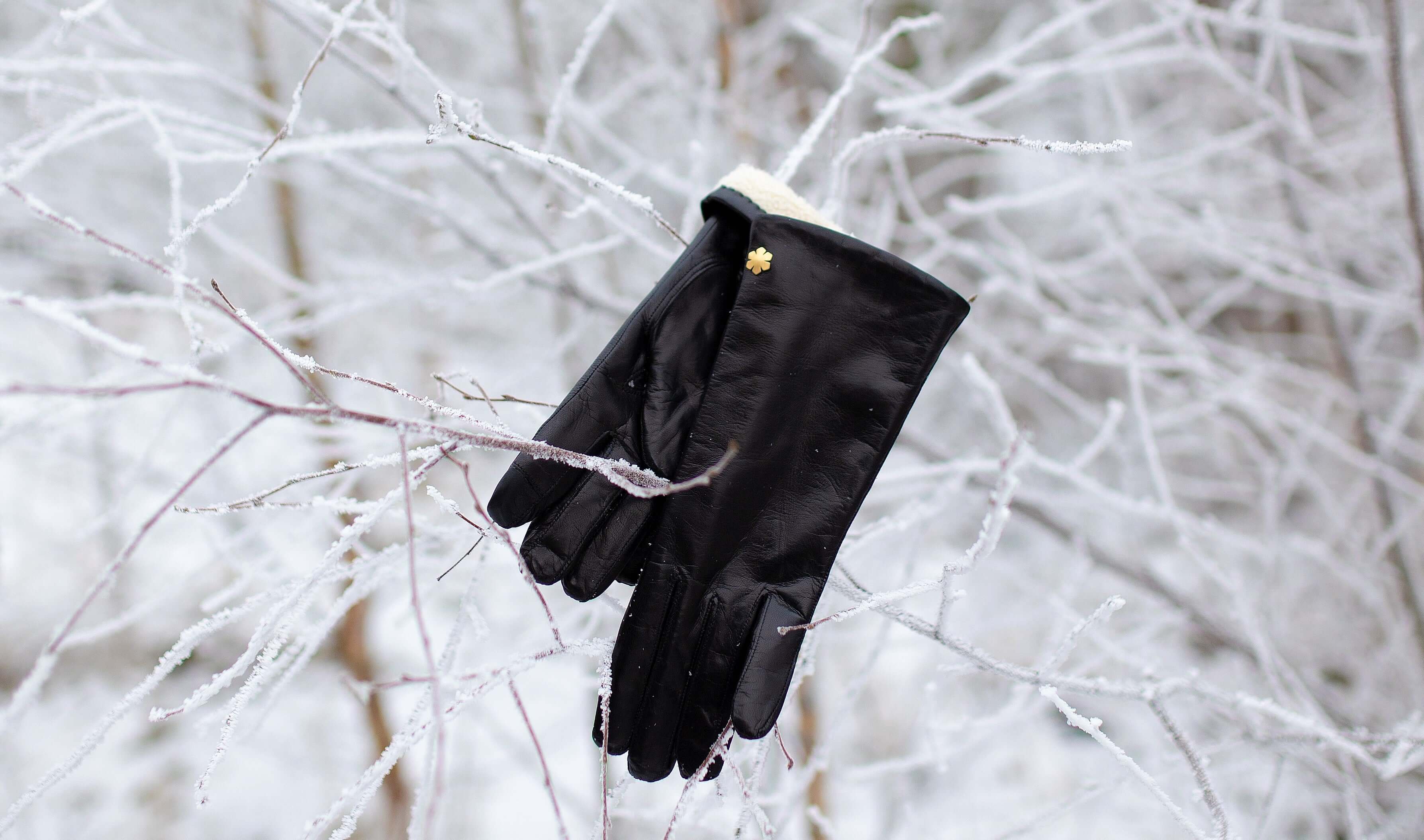 sachin and babi light blue dress Best Winter Gloves of 2026, Field Tested and Reviewed